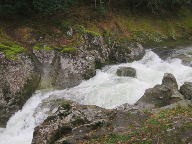 136MonkeyGorgeYamakuni