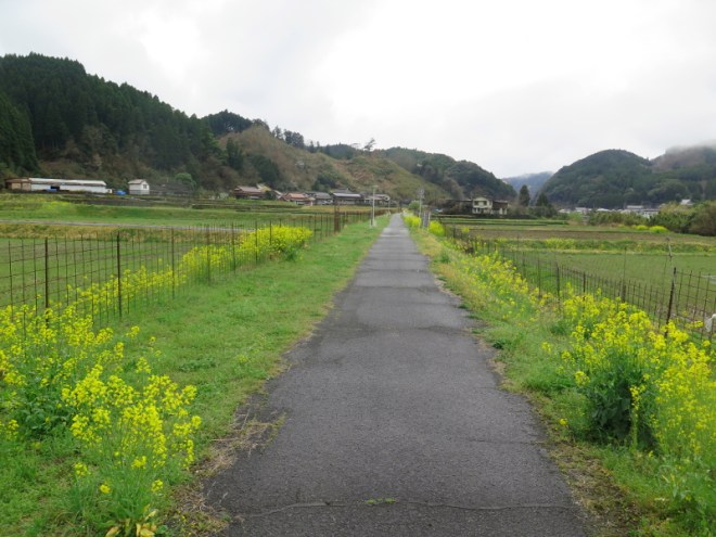 147OilSeedPathPostGrahYamakuniWalk