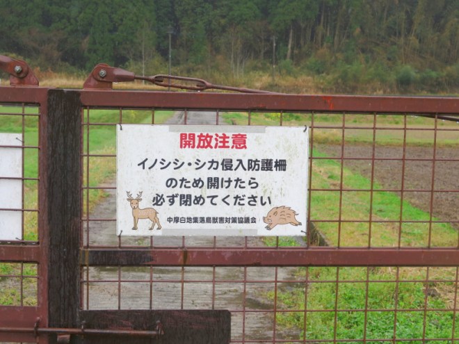 149BoarnDeerPostGrahYamakuniWalk