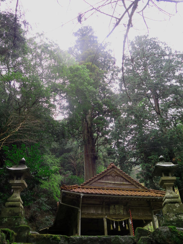 151TheShirePostGrahYamakuniWalk