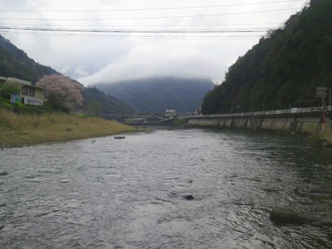 155YabakeiCycleTerm2