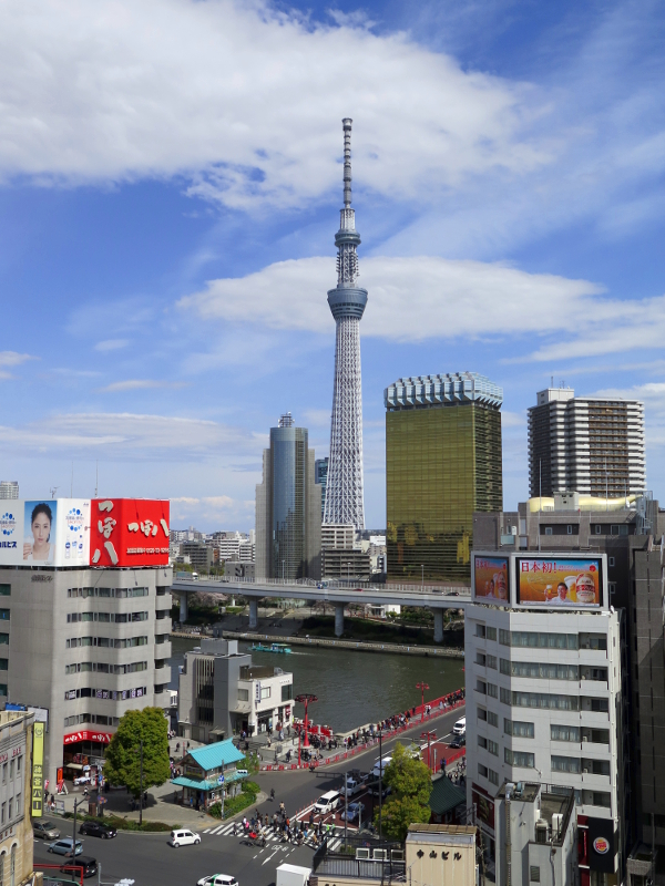 181FromAboveAsakusaCulturalCentre