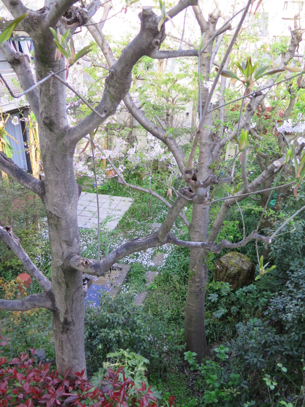 189YoukoboArtSpace03