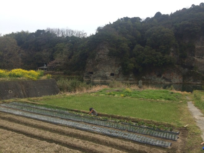 31FarmingYabakaiGorge