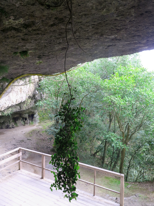 72ShrineUpsideDownYabakaiHighPass