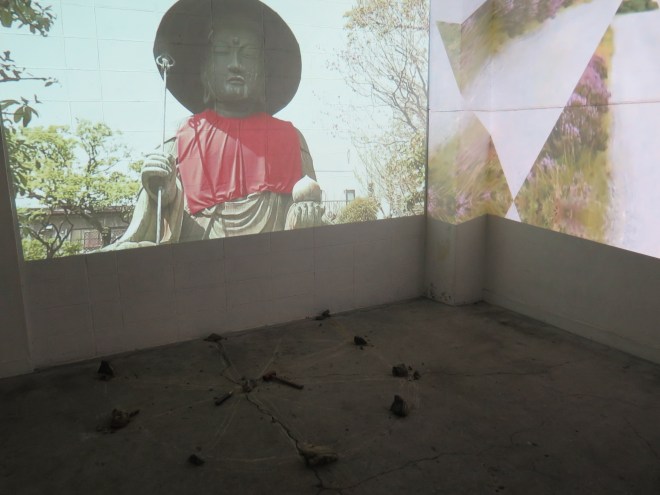 10 Performance Calum Road to Aonodomon