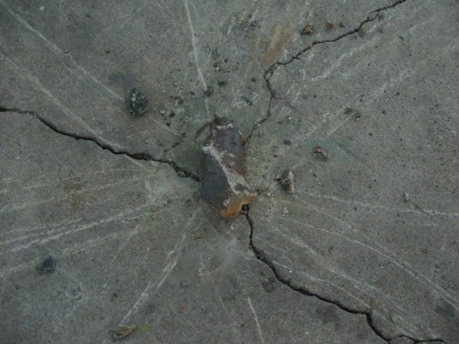 19 Calum Road Aonodomon (16)