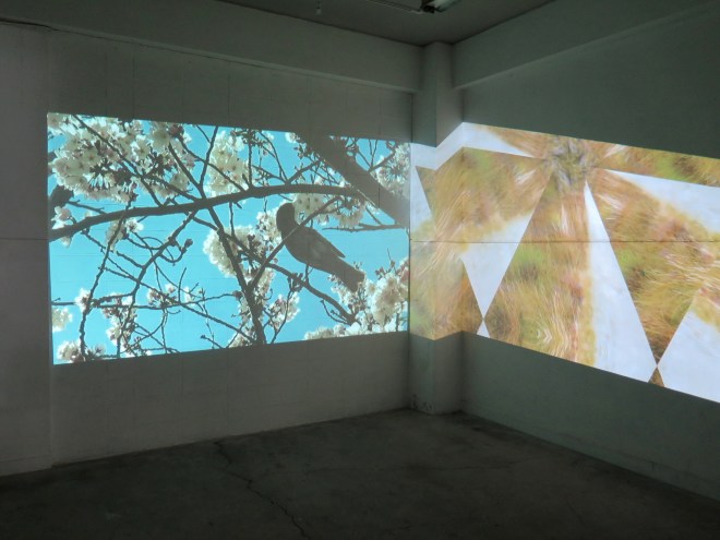 26 Calum Road Aonodomon (13)